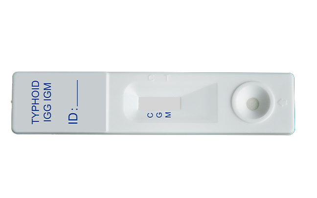 Typhoid rapid test cassette