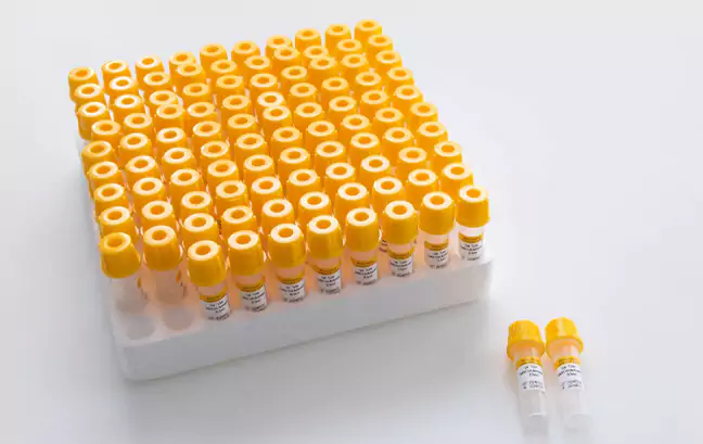 Micro Sample Collection Tube – Gel Separation Flat Bottom