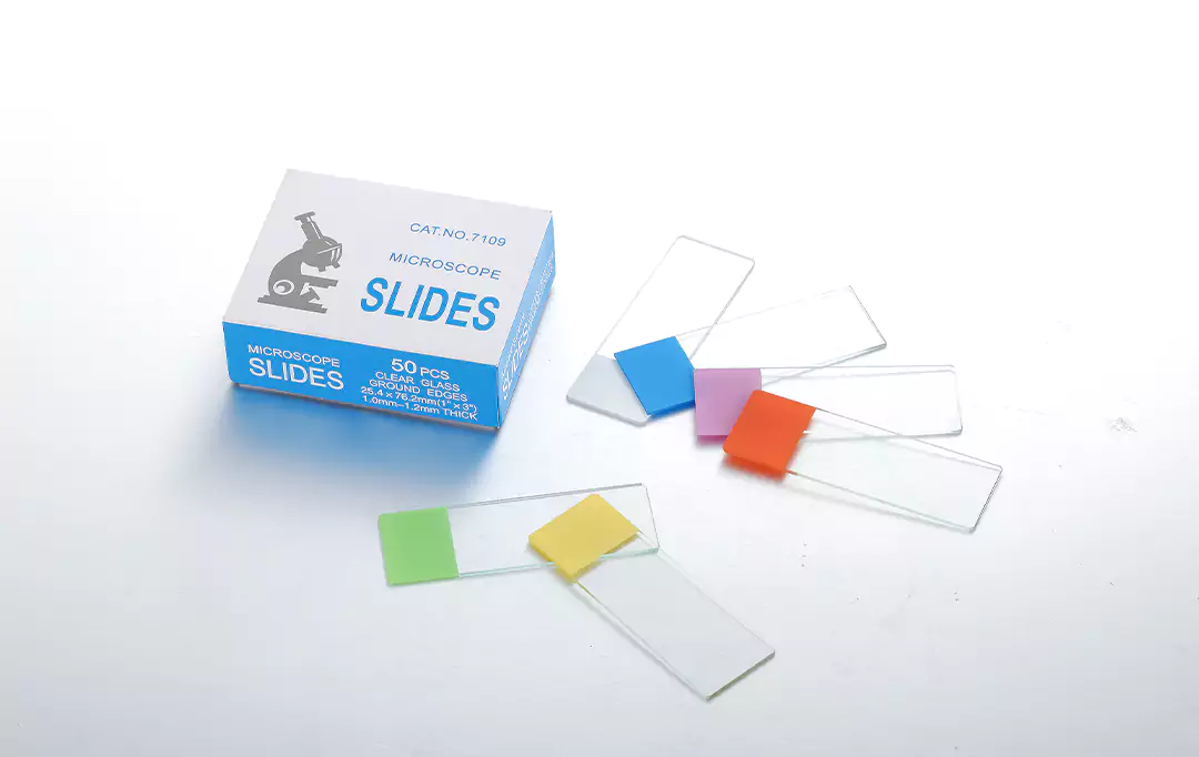 glass microscope slide
