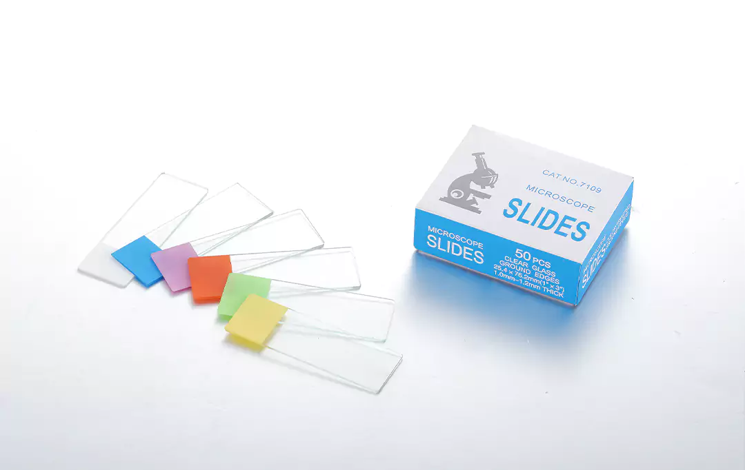 glass microscope slide