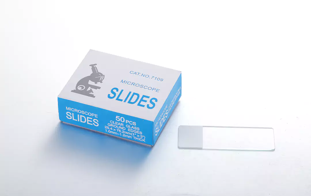 glass microscope slide