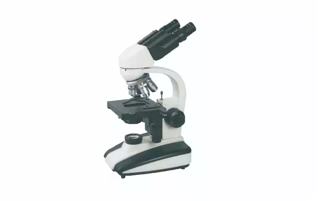 binocular microscope