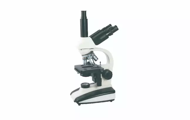 trinocular microscope