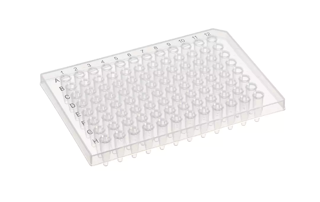 group-side PCR plate