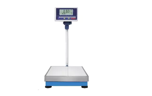digital loadometer scale