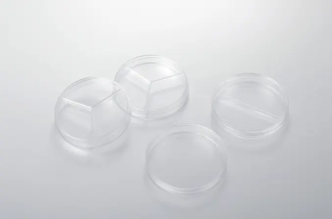 Petri Culture Dish